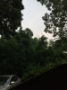 A blue sky behind green trees, with a little bit of a bright rainbow and a larger dim arc of a second rainbow above it.