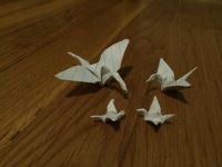 Four origami cranes - a large one, a slightly smaller one, and two notably smaller ones, all folded from lined index card - sitting on a brown wood floor.